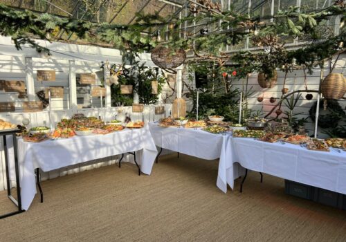 WhatsApp Image 2023-11-12 at 14.17.25 (1)